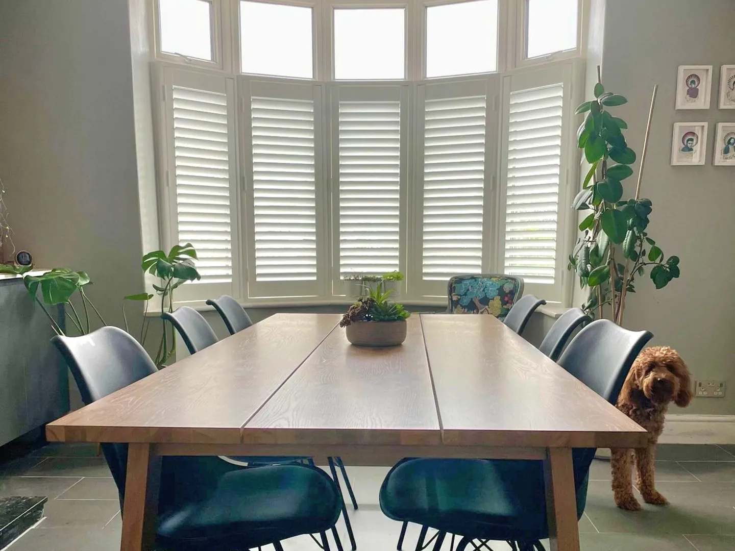 White café style shutters on the lower half of a curved dining room bay, with the upper windows left clear