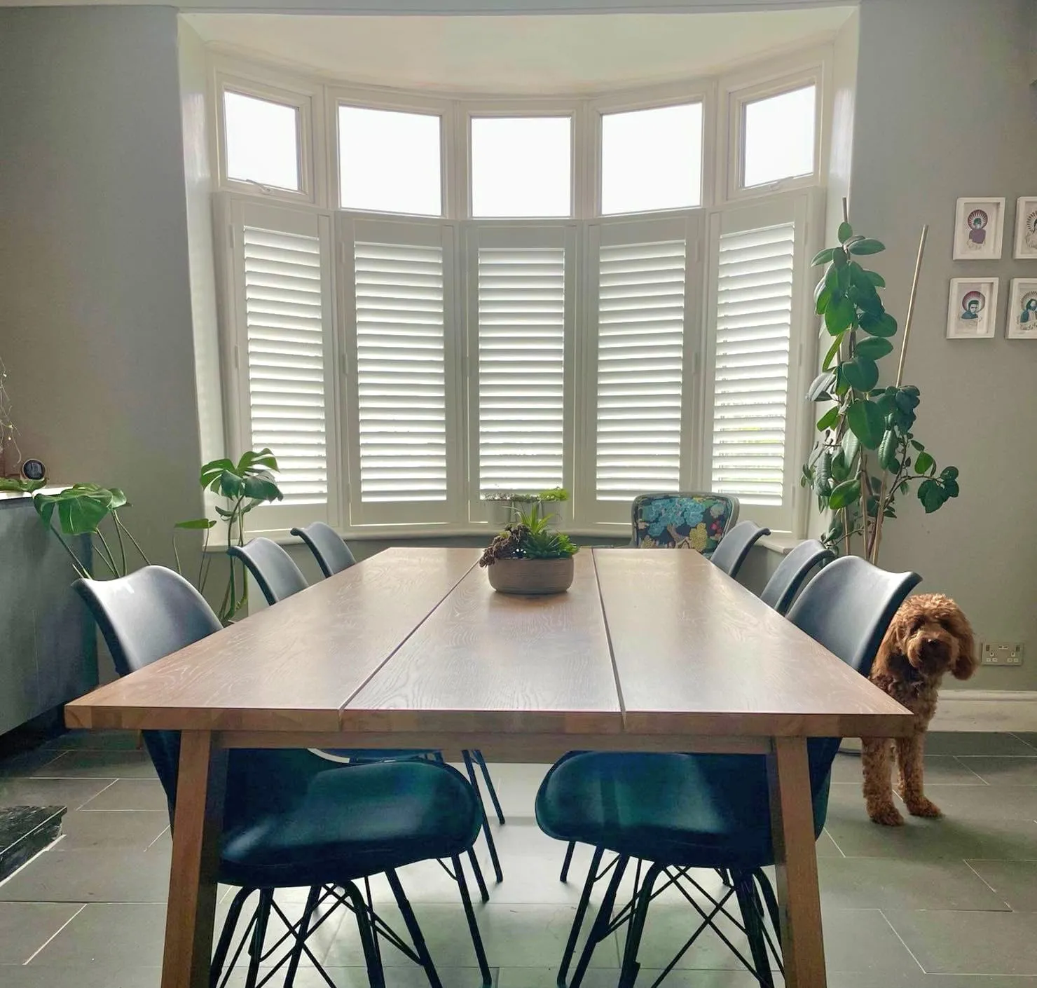 White café style shutters on the lower half of a curved dining room bay, with the upper windows left clear